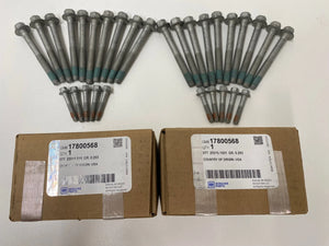 Genuine GM LS1 LS2 LS3 L76 L77 L98 Head Bolts Full Set 17800568 x2