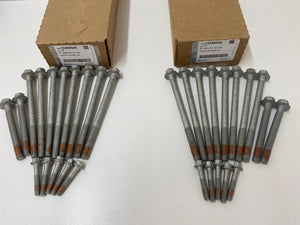 Genuine GM LS1 Head Bolts Full Set VT VX VY WH WK 12498545 (x2)
